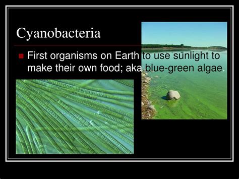 PPT - Chapter 2 The Dynamic Earth PowerPoint Presentation, free ...