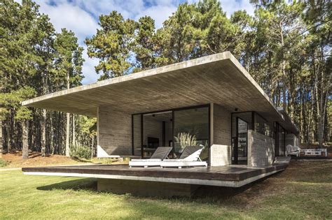 Striking Forest House keeps it concreted and classy on wooded coastline ...