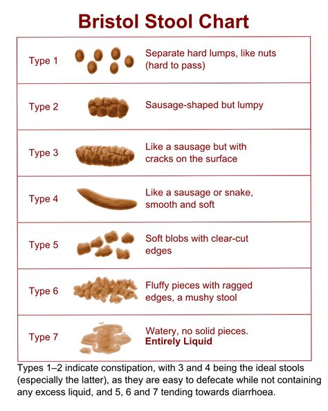 Self Health Guide: Healthy Bowel Movements