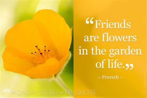 Friends Are Flowers | Monday's Flower Quote | Floating Petals