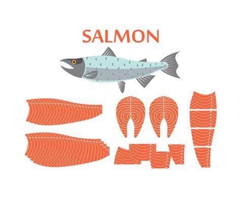 Salmon Illustration Vector Art & Graphics | freevector.com