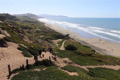 Fort Funston, San Francisco CA | Fort funston, Outdoor, Dog park