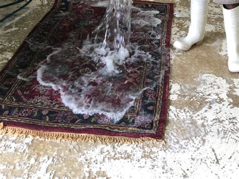 The Expertise of Persian Rug Cleaning and Restoration in Parkland