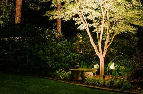10+ Landscape Up Lighting For Trees