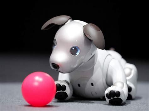 You Can Own Sony's New Aibo Robot Dog Soon for $2,900 USD | eTeknix