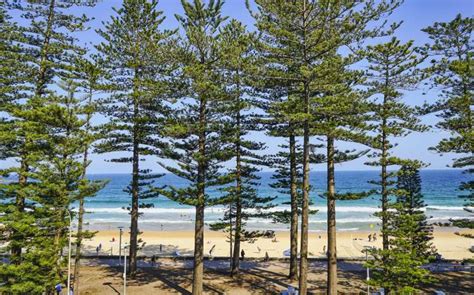 Manly Beach / New South Wales / Australia // World Beach Guide