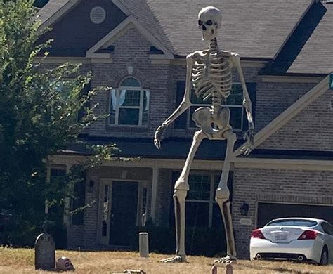 Home Depot's gigantic skeleton is Halloween decoration of the year | Boing Boing