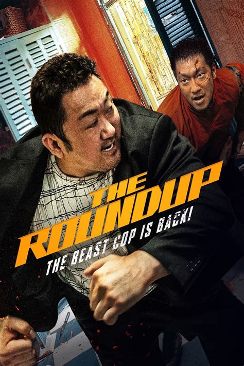 Download The Roundup (2022) Dual Audio [Hindi + Korean] WeB-DL 480p ...