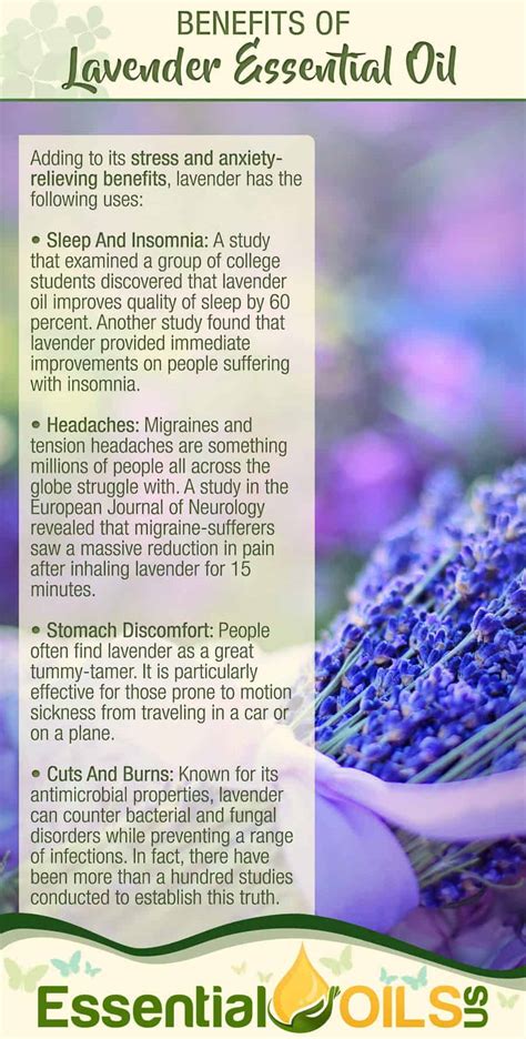 Lavender Oil Uses For Sleep - naniiehma