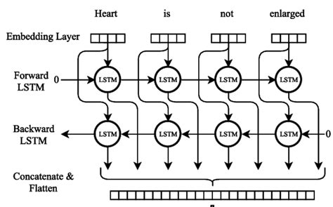 Day 02 Basics of Sequential Modelling , NLP and Large Language Models(LLM)