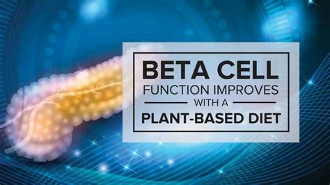 Beta Cell Function Improves with a Plant-Based Diet