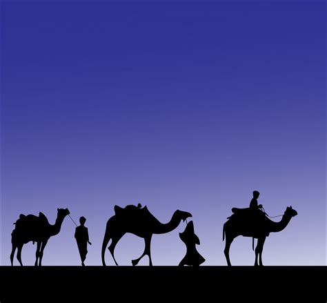 Camel Procession Silhouette Free Stock Photo - Public Domain Pictures