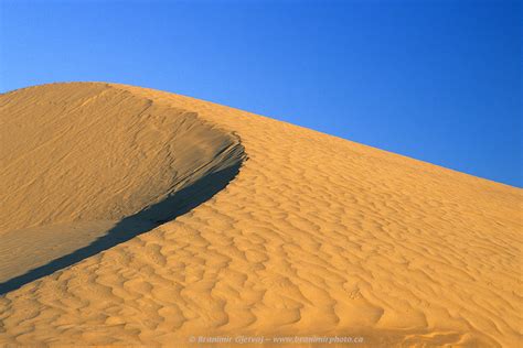 Great Sand Hills - sand dune near Sceptre, Saskatchewan | Branimir ...