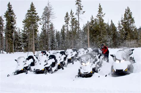 Hundred Days 050: Snowmobiling in Yellowstone National Park « The Mountain Pulse Jackson Hole ...