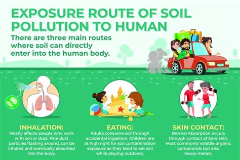 Exposure Route of Soil Pollution to Humans - Anderson Engineering