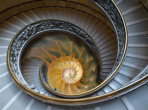 17 Best images about Fibonacci Sequence - Life is a spiral on Pinterest | Golden ratio ...