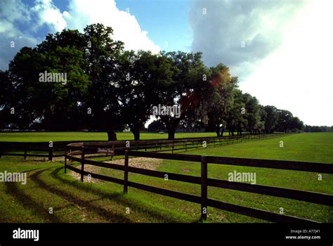 Horse farms of Ocala Florida Stock Photo - Alamy