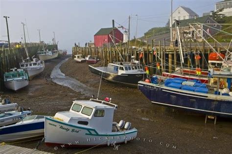 Extreme Tides Hall's Harbour Bay Of Fundy | Photo, Information