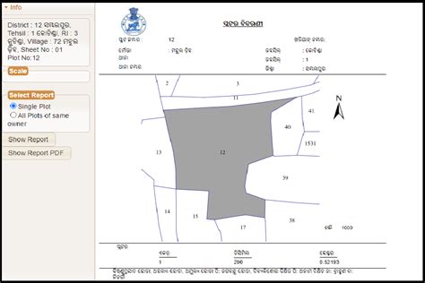 Bhulekh Odisha Online [ROR] Map View Record Bhunaksha Odisha Plot