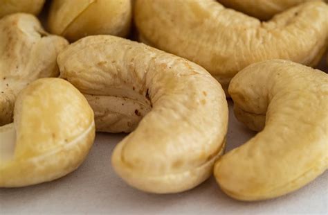 Cashew shell compound appears to mend damaged nerves – Impact Lab