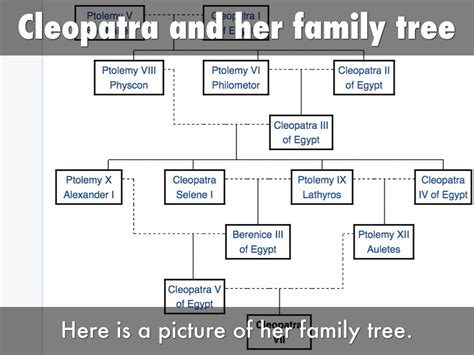 😎 Cleopatra family members. Cleopatra And Other Historical Leaders That Executed Their Own ...