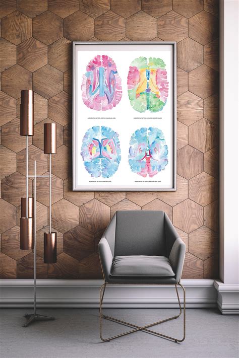 Brain Anatomy Art Neuroscience Art Neurology Art Neurology - Etsy