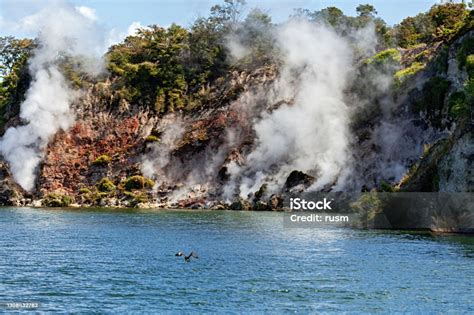 Geysers In Rotomahana Lake Waimangu Volcanic Rift Valley New Zealand ...