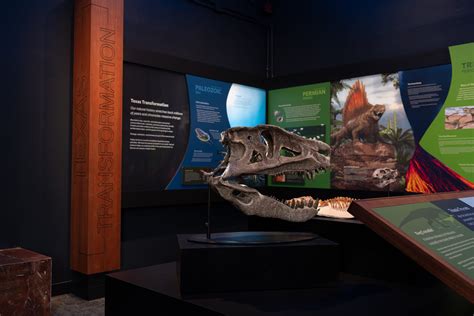 Texas Memorial Museum Reopens with a Dino-Sized Roar as the Texas Science & Natural History ...