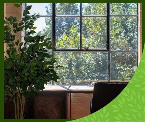 Artificial Office Plants | Evergreen Direct Ltd