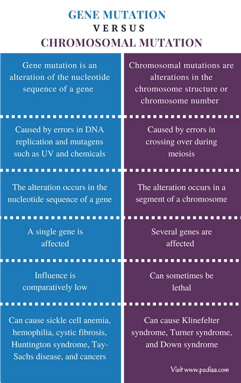 Difference Between Gene Mutation and Chromosomal Mutation | Definition ...