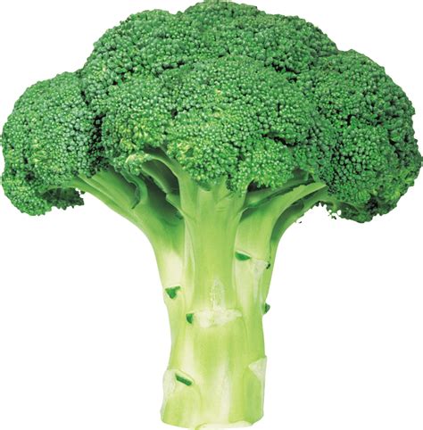 Transparent Broccoli