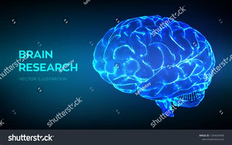 Brain Human Brain Research 3d Science Stock Vector (Royalty Free ...