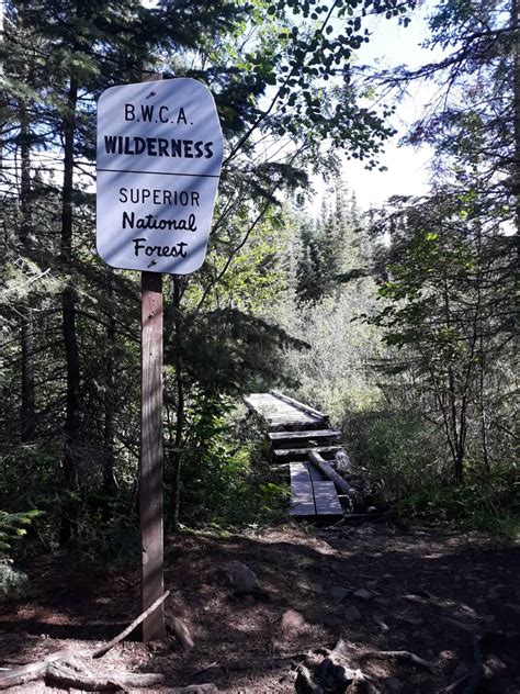 Hiking the Highest Point in Minnesota: Eagle Mountain Minnesota