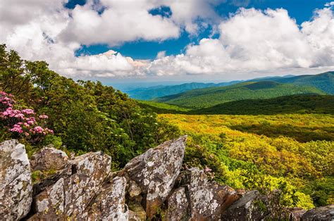 Shenandoah National Park | Find Your Park