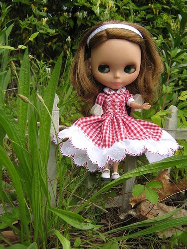 Peppermint Candy Swirl | Sitting on the fence to show the fu… | Flickr