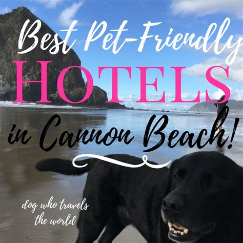 Best Pet-Friendly Hotels in Cannon Beach - Girl Who Travels the World