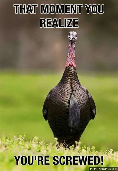 Funny turkey hunting Memes