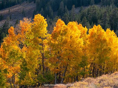 Sierra Nevada Mountain Weather · Sierra Mountain Passes