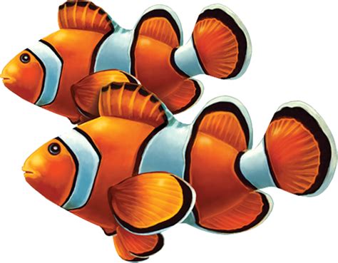 Little Tile Inc - online source to Clown Fish Series pool mosaics Concrete Swimming Pool ...