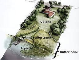 Buffer Strip - Assignment Point