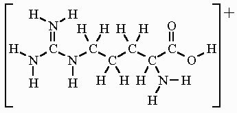 Arginine Formula & Structure