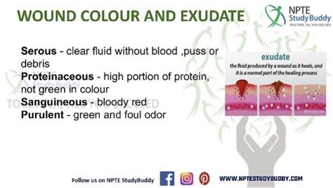 Understanding Wound Color and Exudate