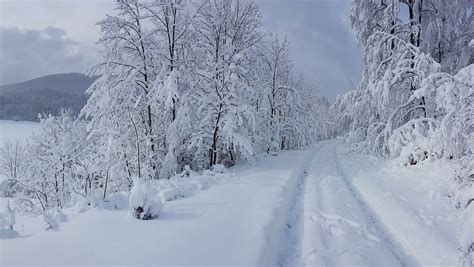 [PHOTOS] Winter Arrives with Stunning Snow Fall for Parts of Croatia ...