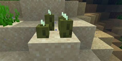 Minecraft Sea Pickle: Location, uses and more! » FirstSportz