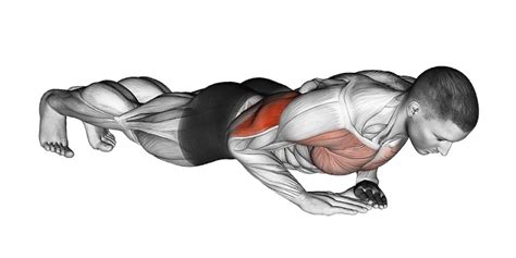 Proper Diamond Push Up Form to Build Your Triceps | A Lean Life