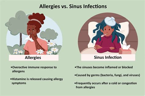 Allergies or Sinus Infection: Symptoms, Causes, Treatment
