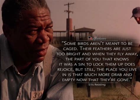 The Shawshank Redemption Quotes - MagicalQuote | Redemption quotes ...