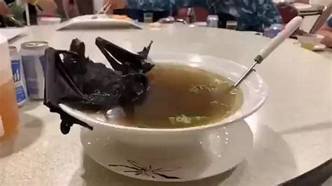 Filipina Resident in China Contradicts Speculation About Bat Soup ...