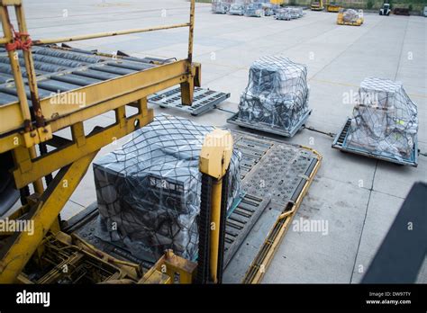 cargo pallets on loading machine while loading aircraft Stock Photo - Alamy