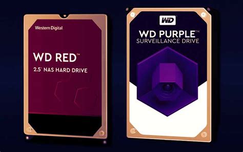 Western Digital Red Vs Western Digital Purple